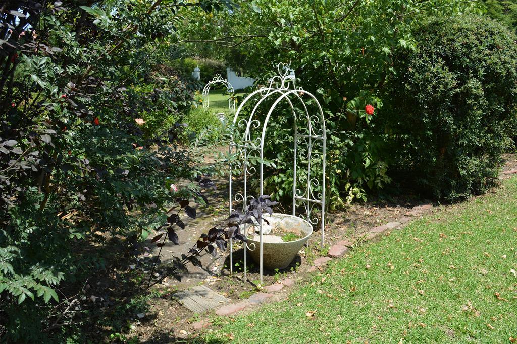 Toad Hall Guest House Wakkerstroom Exterior foto